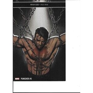 The Punisher Issue #6 Stan Lee Memorial